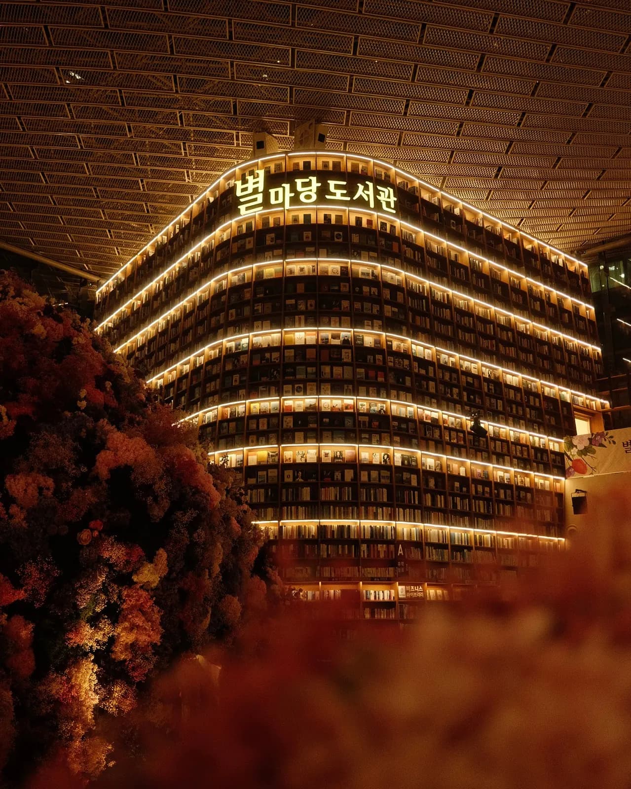 The towering curved book stacks of Starfield Library, Seoul, lit from within